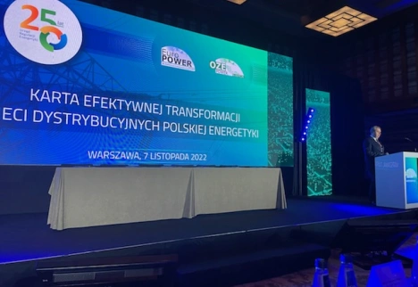 Bezpieczenstwo i optymalizacja energetyczna Polski