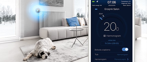 Enea Smart